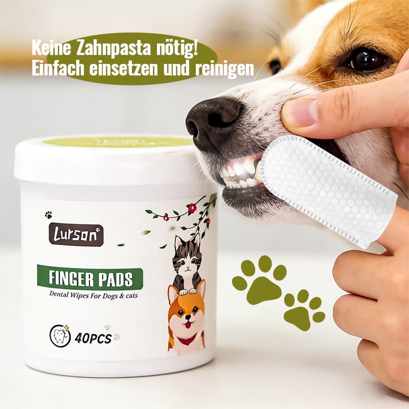 Evcil Hayvan Diş Fırçası Plus