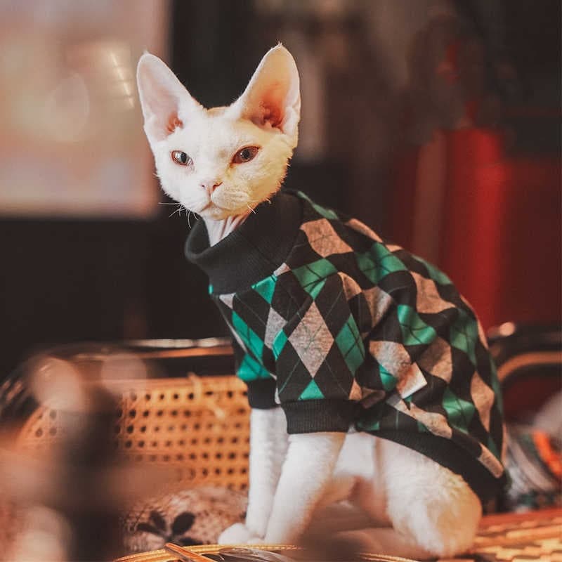 Kedi Örme Kazak Cozy 2