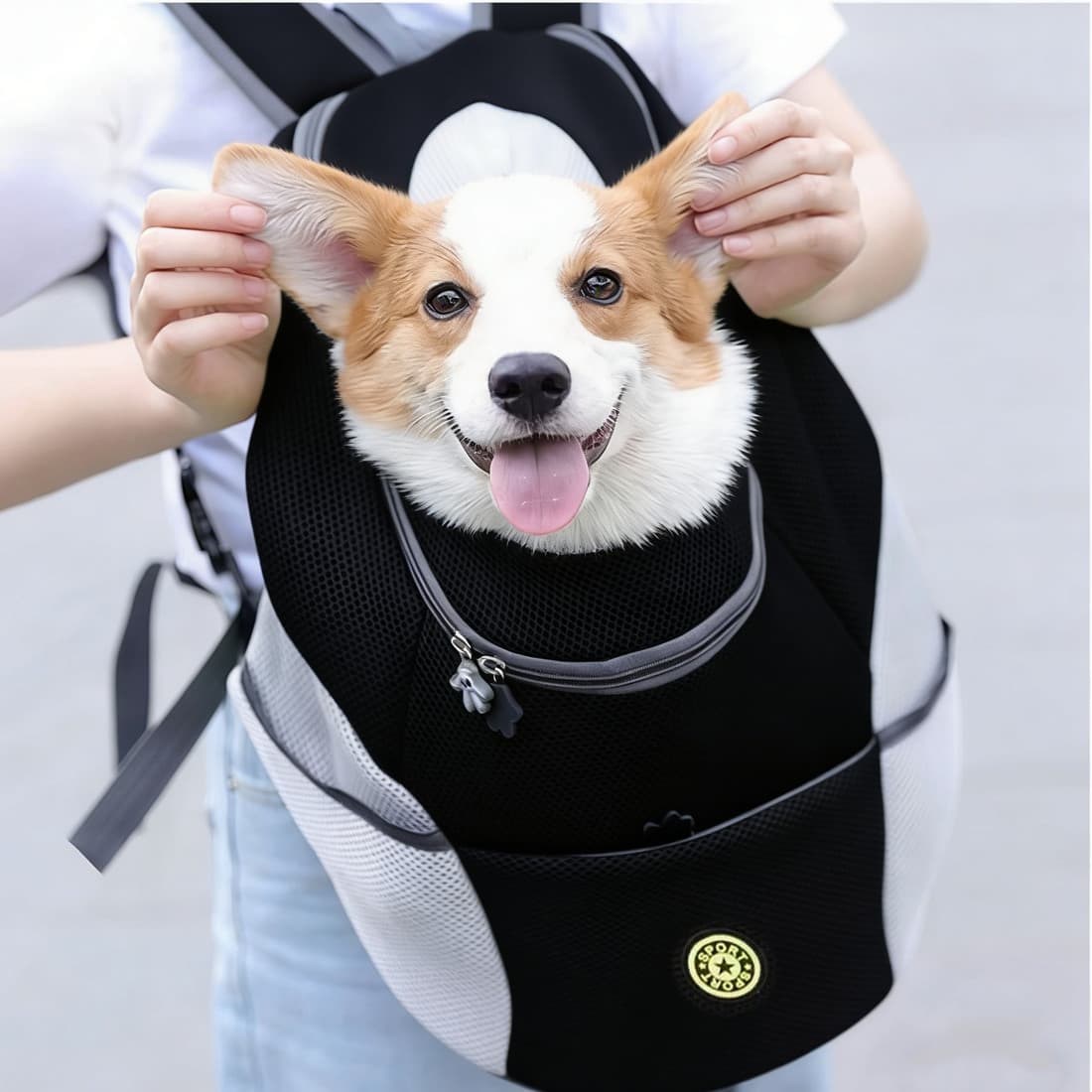 Köpek Taşınabilir Taşıma Çantası Smart