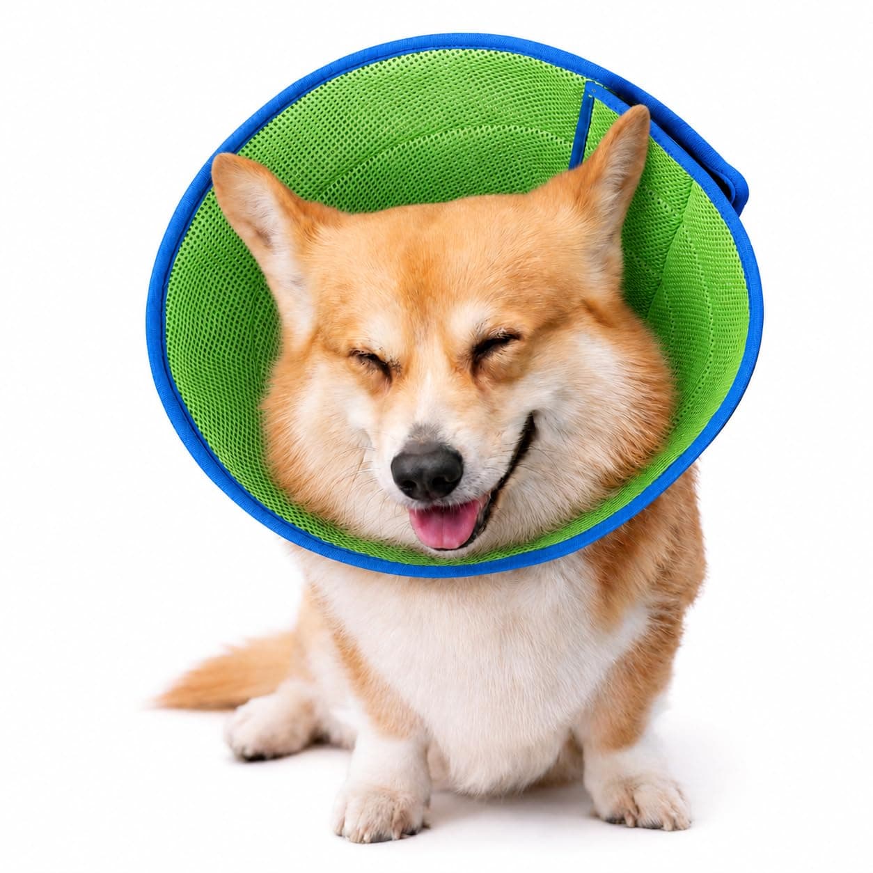 Ayarlanabilir E-Collar Koruyucu Koni Cozy