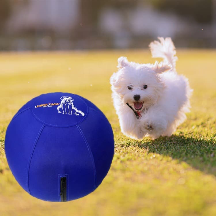 Köpek Oyuncak Mini