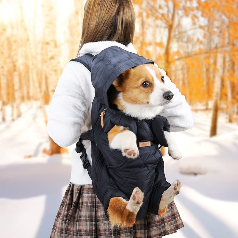 Köpek Battaniye Max