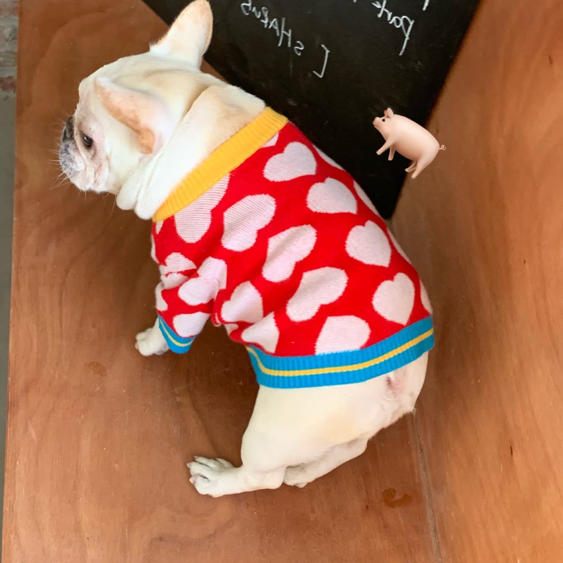 Köpek Kıyafet Smart