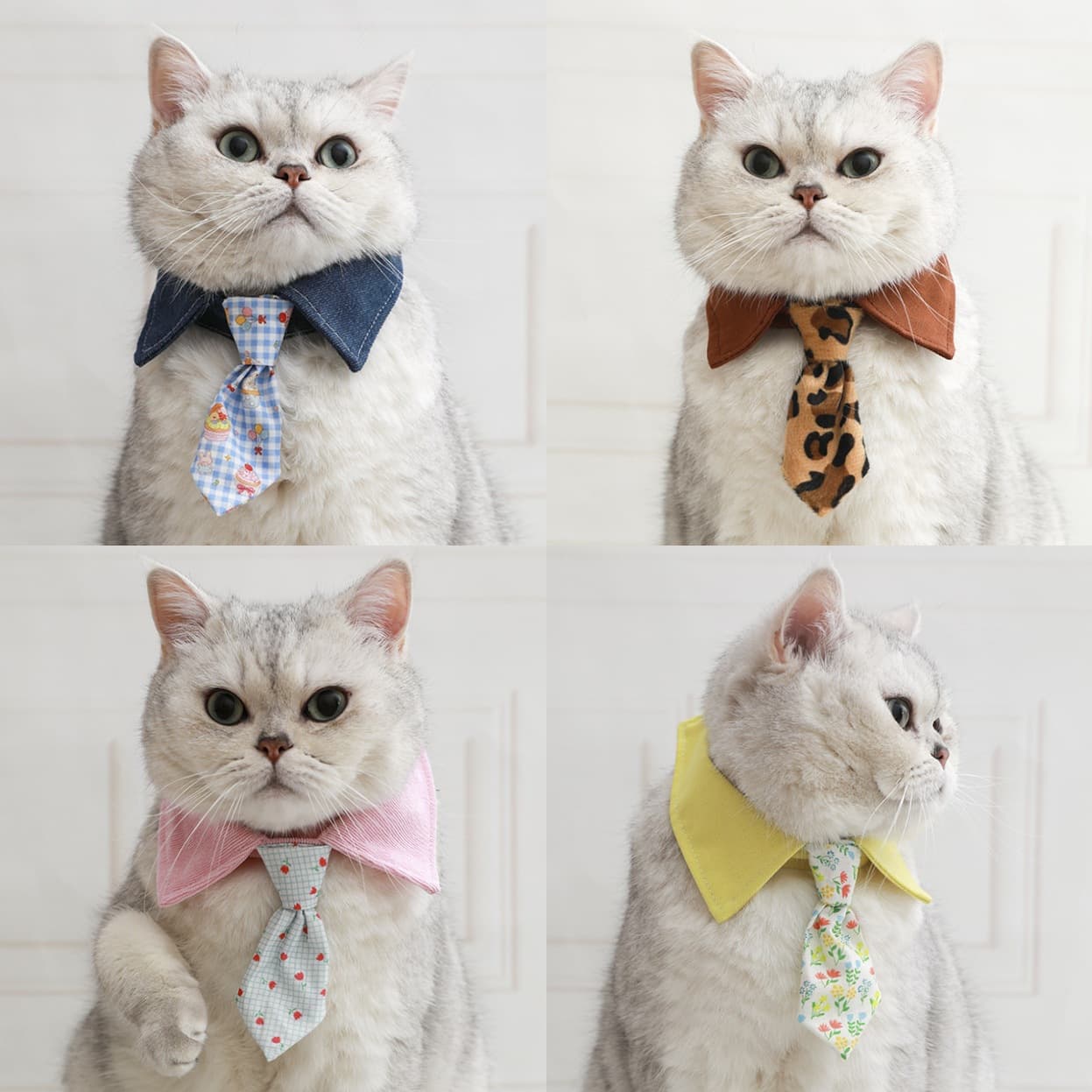 Kedi Boyun Tasması Duo