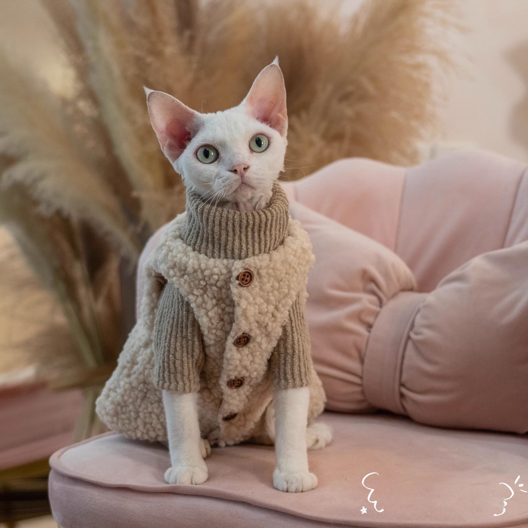 Kedi Örme Kazak Cozy