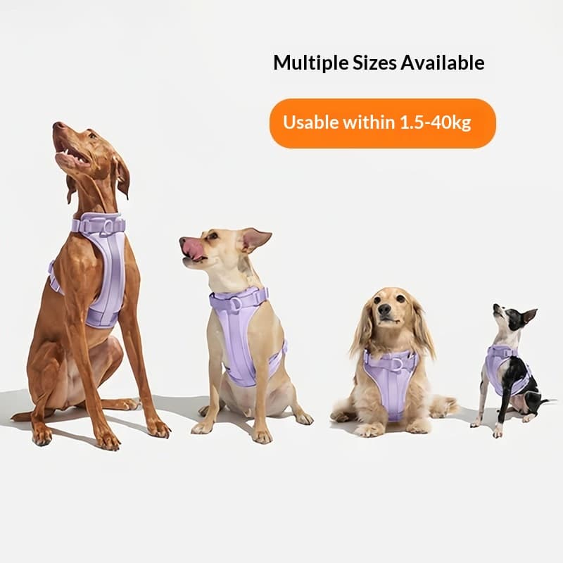 Köpek Göğüs Tasması Pro 4