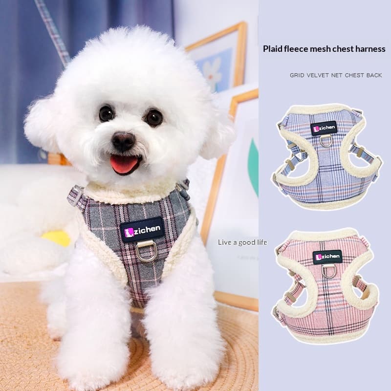Köpek Yürüyüş Tasması Elite 2