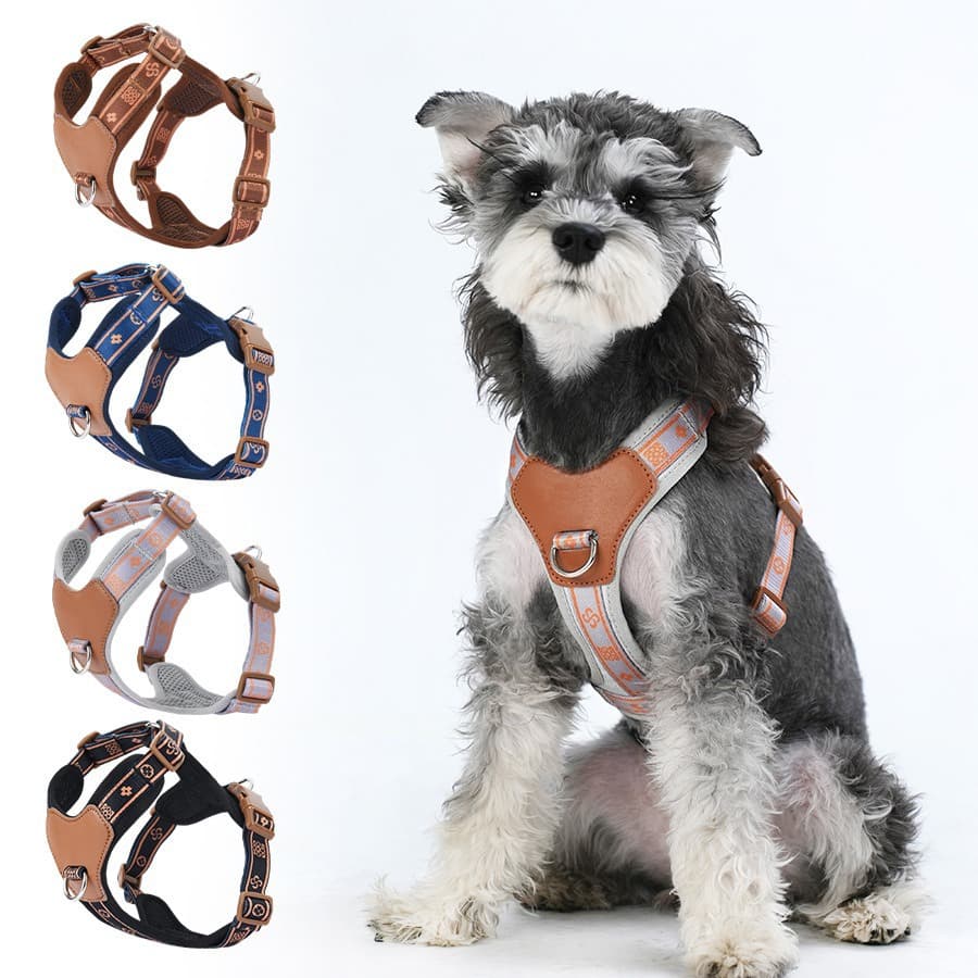 Köpek Göğüs Tasması Smart
