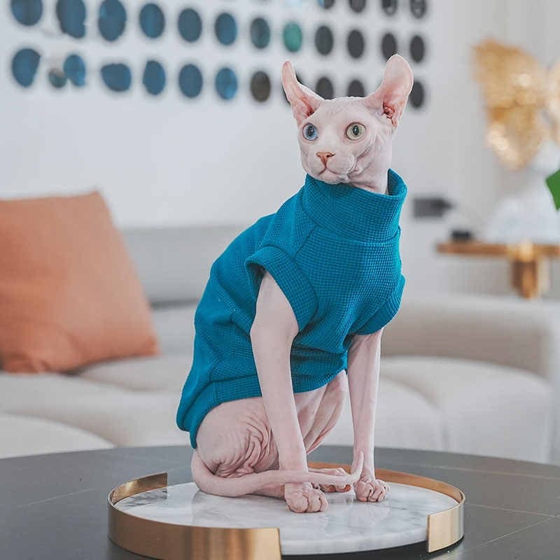 Kedi Kıyafet Duo