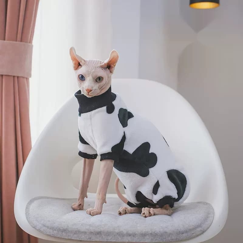 Kedi Kıyafet Mini