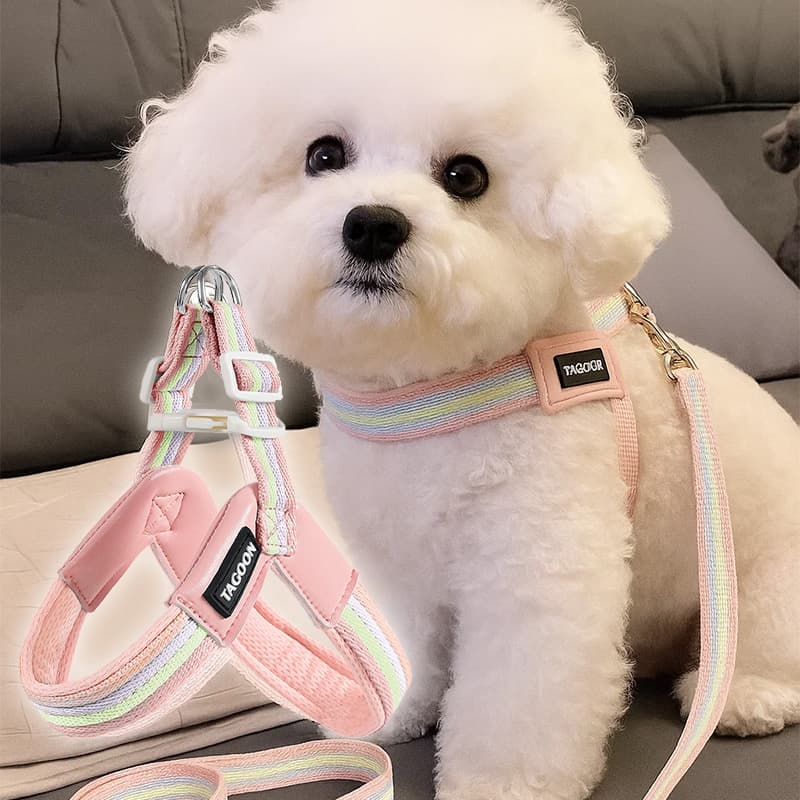Köpek Göğüs Tasması Pro 2