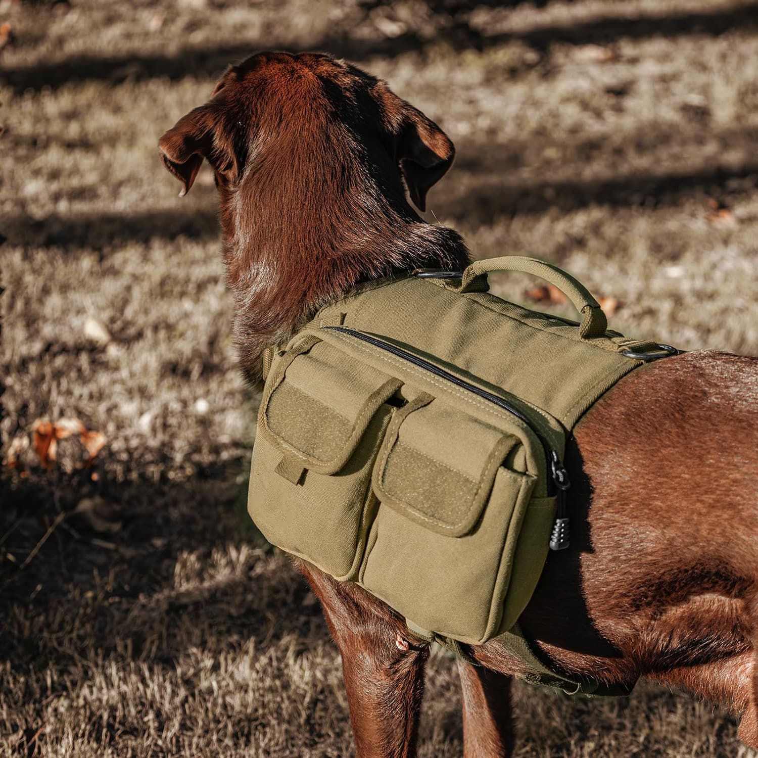 Köpek Taşıma Çantası Air