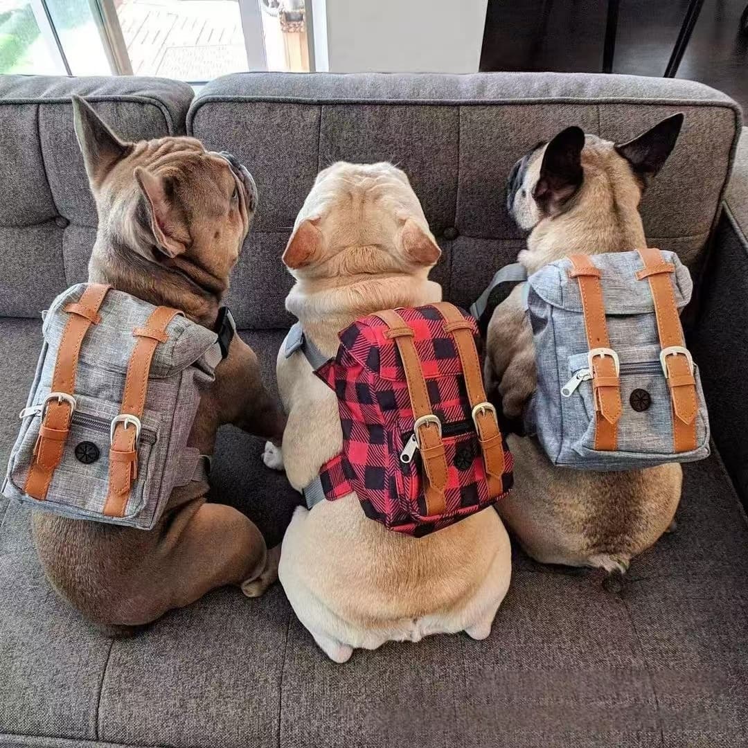 Köpek Taşıma Çantası Mini