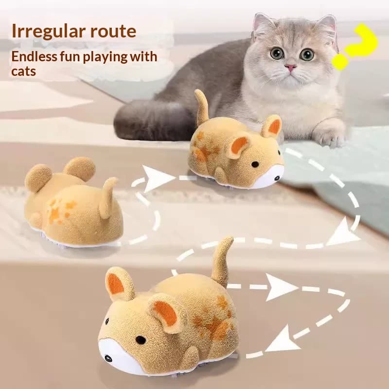 Kedi Oyuncak Cozy