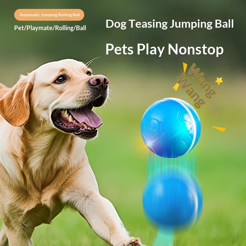 Köpek Oyuncak Air