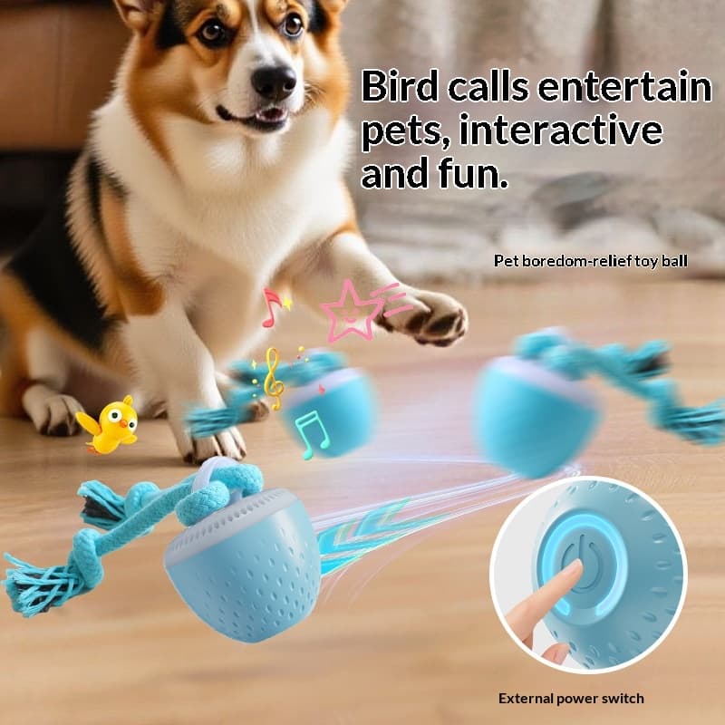 Köpek Oyuncak Air 2