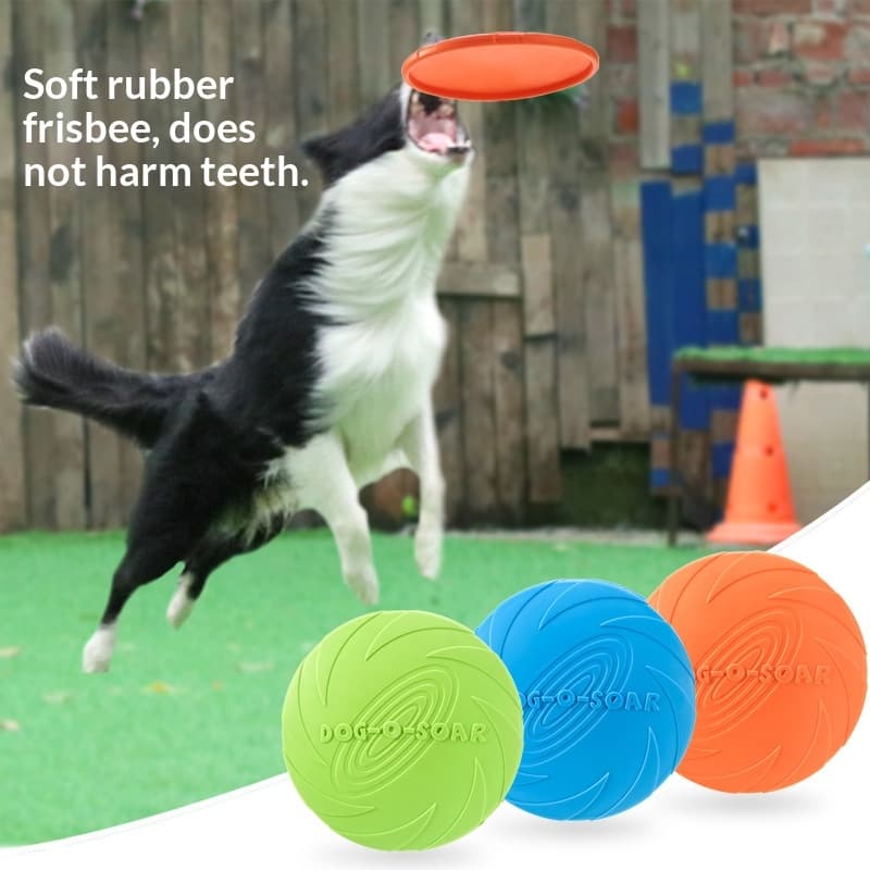 Köpek Uçan Disk Oyuncak Duo