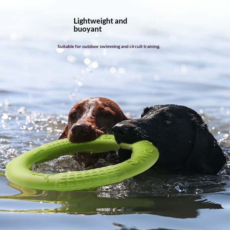 Köpek Uçan Disk Oyuncak Pro