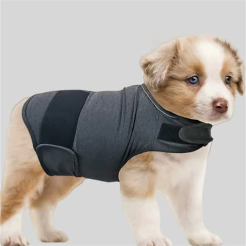 Köpek Sakinleştirici Yelek Duo