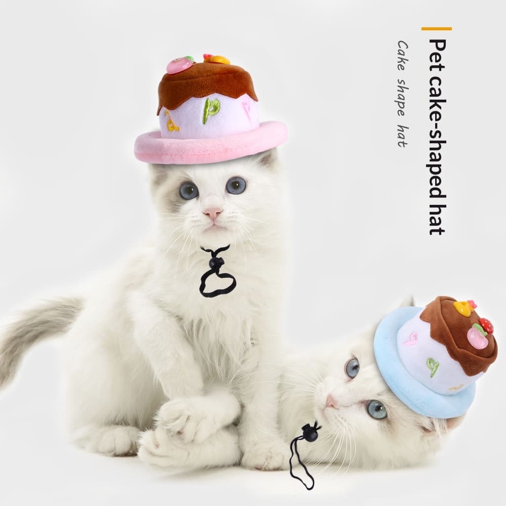 Kedi Şapka Aksesuarı Air